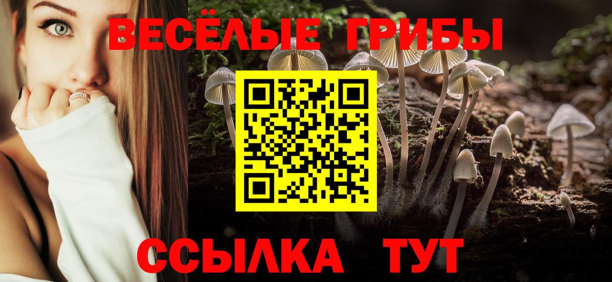 Старая Купавна  Галлюциногенные грибы ЛСД  Вход с VPN 