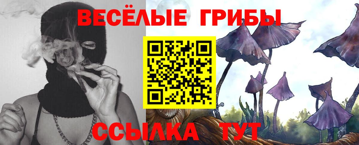 Галлюциногенные грибы MAGIC MUSHROOMS Старая Купавна